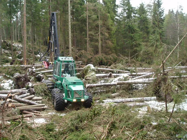 Gremo-skördare upparbetar stormfälld skog i Fagerhult, Småland, 2005